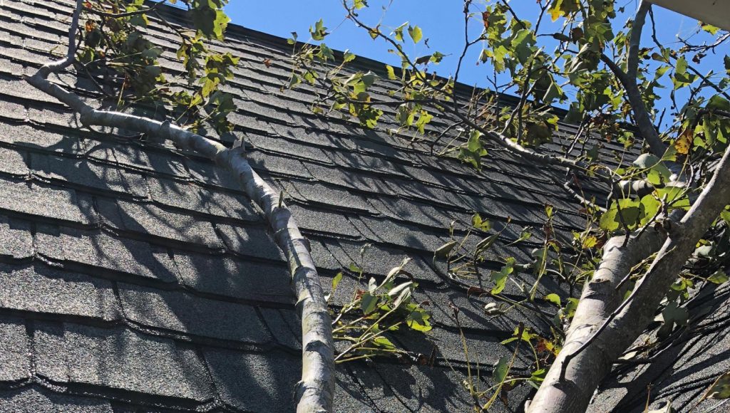 Storm-Resistant Roofing & Siding: Protect Your Home from Extreme Weather
