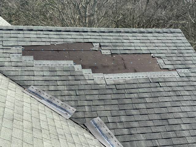 roof repair near me