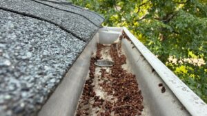Top Rated Annapolis Roofer