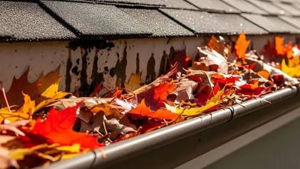 Gutter Cleaning near Columbia MD